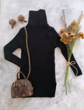 Kenzie Turtleneck Dress
