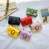 Lady Dion Handbag - Spring Edition