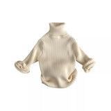 Rory Turtleneck Sweater